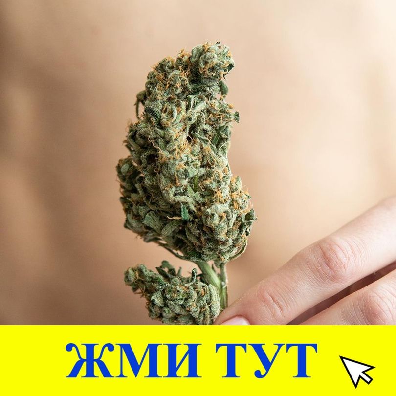 Купить наркотики в Тамбове